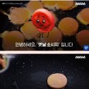 분홍 소시지 정체 이미지