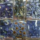 메디컬허브 이미지