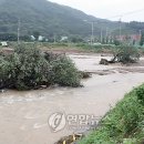 오도천 이미지