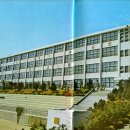 태종대중학교 이미지