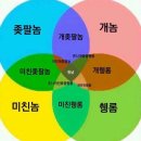 난 솔직히 한국에서 활동하는 쪽바리 연예인들 다 싫어 이미지