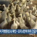 대성축산 2농장 이미지