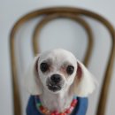 루시펫살롱 이미지