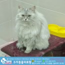 수지동물의료원 이미지