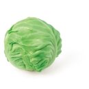 카멜리아한의원 이미지