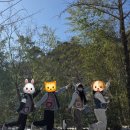 공주 계곡 이레 캠핑장 네이버블로그