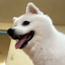 왈왈스테이 | 9 to the 10