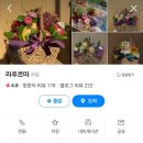 스완즈에그 네이버블로그