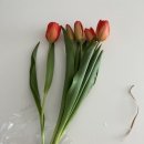 축복인테리어 이미지