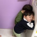 노아다원