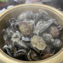 모산도굴수산 | 제철 보양식 먹으러 보령 천북 굴단지 다녀온 후기!