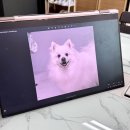 소소한작당