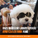 24시 잠실온 동물병원 이미지