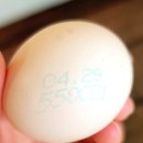 백봉목장 이미지