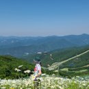 불꽃실비식당 이미지