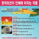 나르샤점핑클럽 이미지