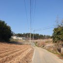 모텔아이유 | 영산강 섬진강 자전거 종주..3월 벚꽃라이딩