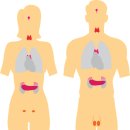 생리불순, 한의원에서 난소기능 강화로 피임약 중단 후에도 규칙적인 주기 회복