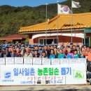 법인농촌사랑 이미지