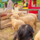 화순목장 이미지