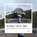 오사카 유니버설 스튜디오 재팬 닌텐도월드 정리권 해리포터 미니언 버거 해리포터