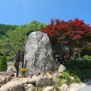 로맨틱533펜션&캠프 이미지