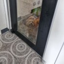 화랑세탁소 이미지