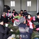 부안육묘장