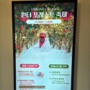 SKY 골프랜드 | 제주 아이랑 가볼만한곳 에코랜드테마파크 곶자왈 숲속 힐링 기차여행 후기