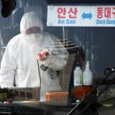 안산종합여객터미널 이미지