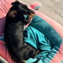 유가솜씨 | 부산/금정구] 계란찜을 무료로주는!1995년 레시피로 만든 부산식 닭갈비맛집 유가솜씨 부산대본점 솔직후기