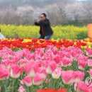 낙동강변 축구장 2 이미지