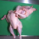 암바치킨 이미지