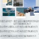 사진첩이야기 이미지
