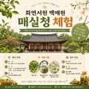회연 Daum카페