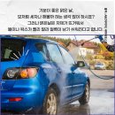 세차하기좋은날 - 보령시 진등2길 5 | 세차하기좋은날