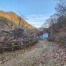 마지1리 이미지