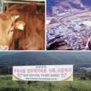 영농한우식육식당 이미지