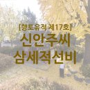 신안주씨 삼세적선비 이미지