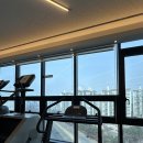행신동(행신지하차도) | 행신동 헬스장 mto피트니스 pt 행신점 추천 남편도 당장 등록하라고 한 이유