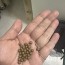 벨루스톤힐링카페 이미지