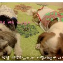 가평별장펜션