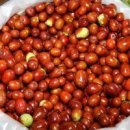 개그쟁이 이미지