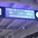 G4621 이미지