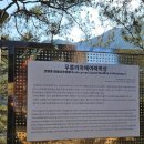 요선정 | 영월 요선정