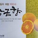 통통마돈나