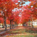 수신삼거리 이미지