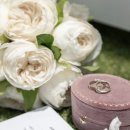 무이비엔 | [웨딩일기#9] 무이비엔 포토그라피 본식 스냅 후기