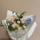 리리플레르