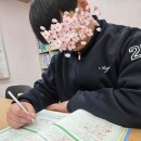 와이비엠잉글루초중등영어학원 | 무진중학교영어학원 YBM잉글루시사 세종어학원 후기, 영어 집중 학습 과정 기록